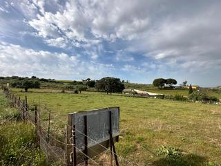 Finca rústica a Arcos de la Frontera. Venta de una hermosa parcela rústica en la cañada del duende