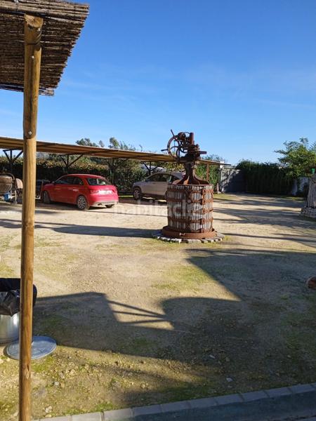 Foto 29da7bfa-ee5d-4d97-b13a-c335608b98b0. Finca rústica a Arcos de la Frontera