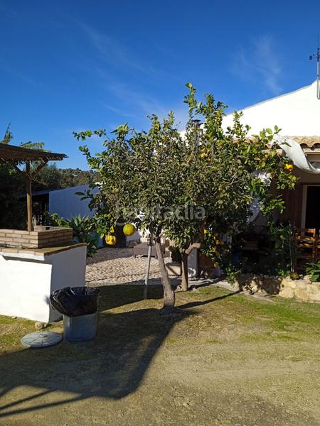 Foto 57428286-0afb-4132-8ccf-4ee1f39a120f. Finca rústica a Arcos de la Frontera