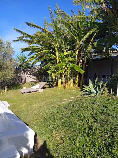 Foto a94fc900-9d1b-4766-89ef-06a2daa679bb. Finca rústica a Arcos de la Frontera