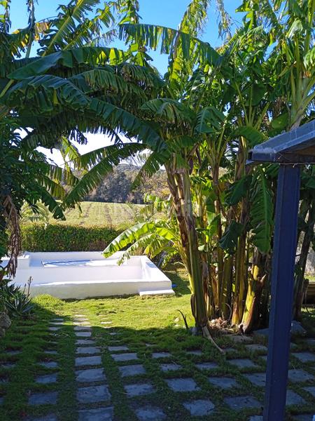 Foto dd9fafe7-9a6b-42b4-a7ab-24b0e08d6f9c. Finca rústica a Arcos de la Frontera