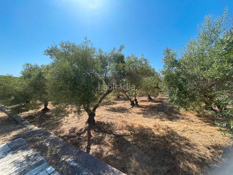 Foto 65a9f008-4780-4775-9008-266fe91f3f65. Finca rústica a Arcos de la Frontera