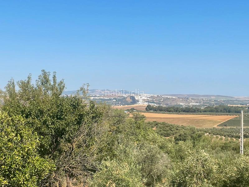 Foto a67317ae-13dd-43cd-9b43-7037d0ba8077. Finca rústica a Arcos de la Frontera