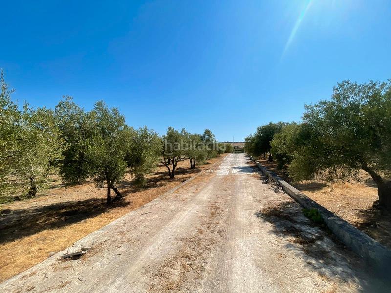 Foto b9d90d29-48bb-41cc-82ff-fe0844bfcab2. Finca rústica a Arcos de la Frontera
