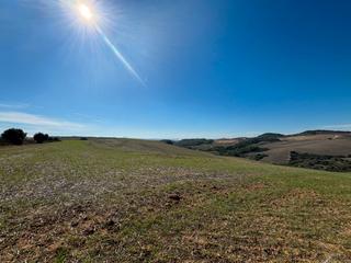 Finca rústica en Arcos de la Frontera. Finca con vistas