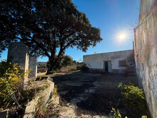 Finca rústica a Arcos de la Frontera. Finca