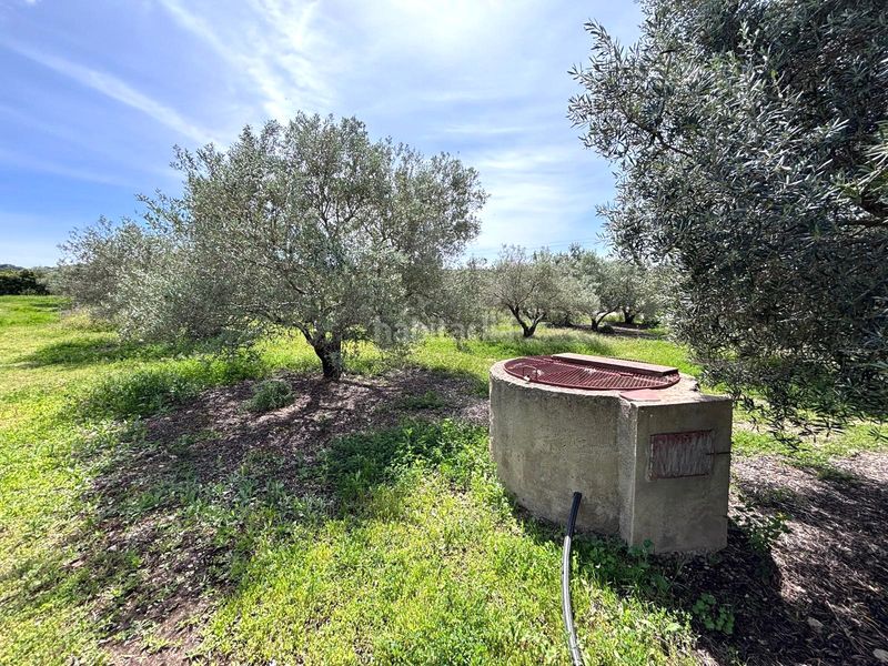 Foto 75e94d7d-b8d0-4df5-90d7-796f97ffacbb. Finca rústica  en Arcos de la Frontera