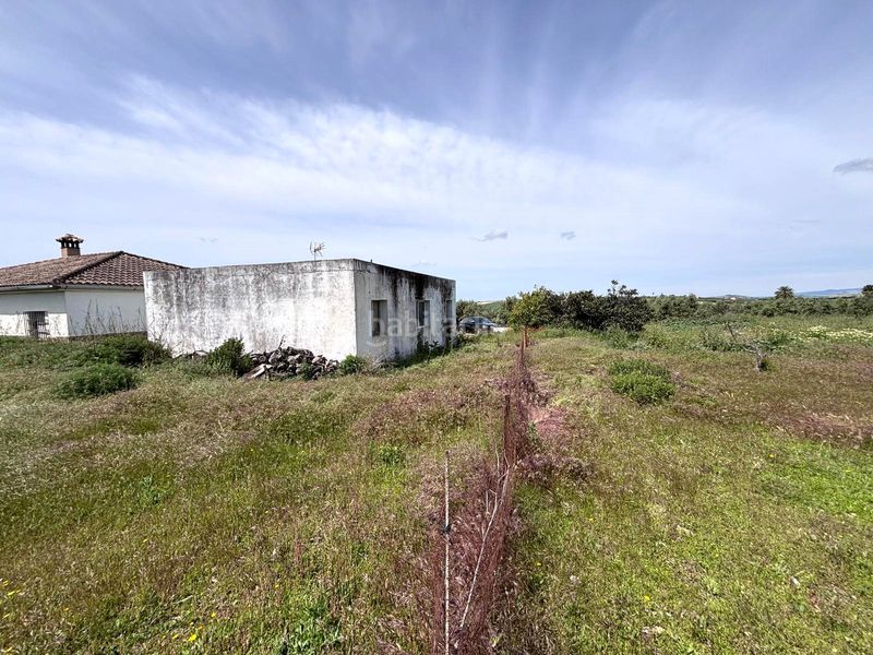 Foto 7fa26205-1e4e-4cbf-acbd-dca7c5960014. Finca rústica  en Arcos de la Frontera