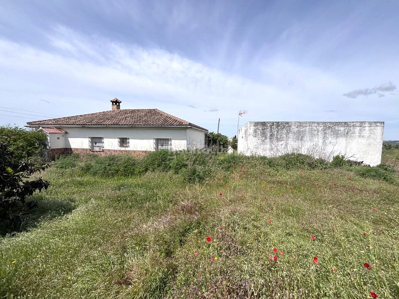 Foto ac794ad7-ab1b-4c92-83e9-a3f42dd6f97c. Finca rústica  en Arcos de la Frontera