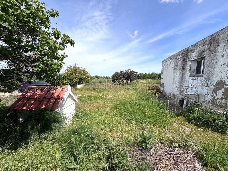 Foto b3b5f6c9-6aa0-419d-938b-9c7db49c848c. Finca rústica  en Arcos de la Frontera
