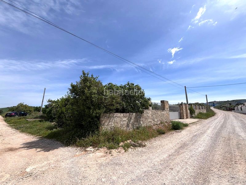 Foto c28c2bf7-089f-4792-bfe5-2f4eb066f6c3. Finca rústica  en Arcos de la Frontera
