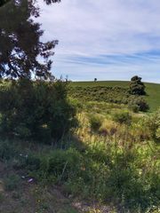 Finca rústica a Arcos de la Frontera