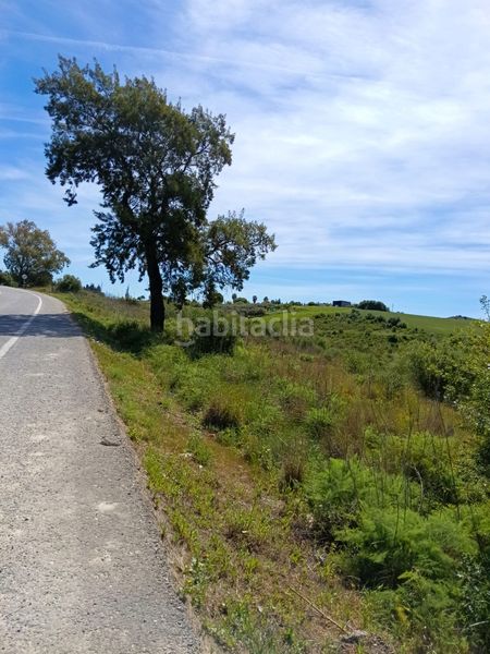Foto 59aa8802-a95b-47b6-b9c7-bb37e39eb873. Finca rústica a Arcos de la Frontera