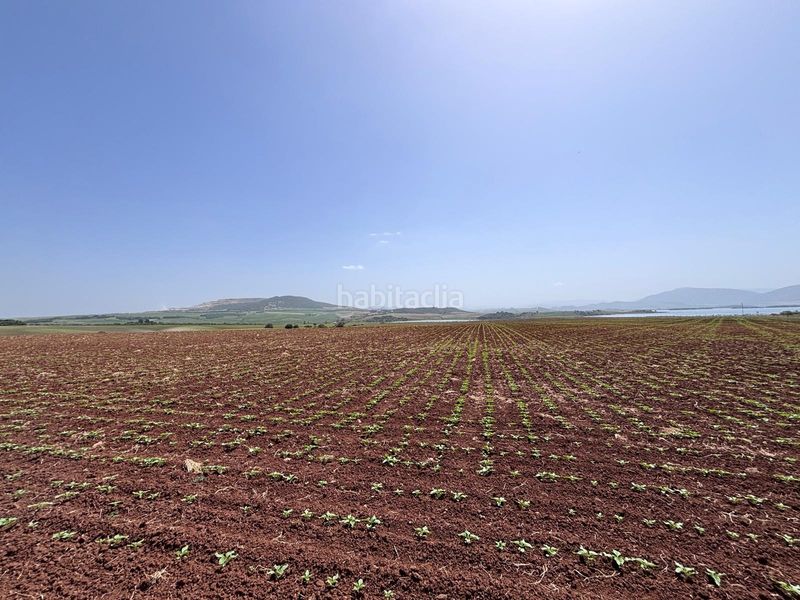 Foto 0d9ecbfe-9a64-4382-8503-95f29b94d3bb. Finca rústica  en Arcos de la Frontera