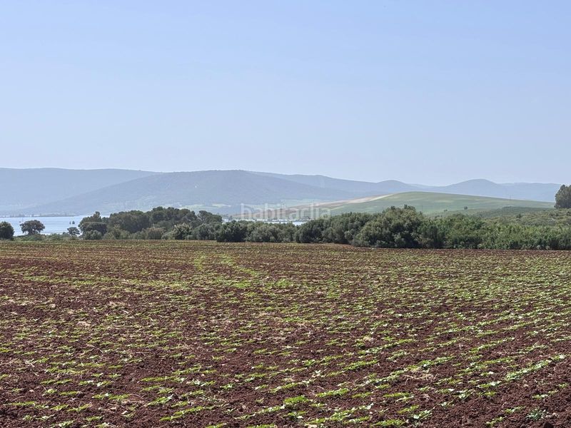Foto 0e1f8f2e-32f7-4753-8baf-0f9be7f37f10. Finca rústica  en Arcos de la Frontera