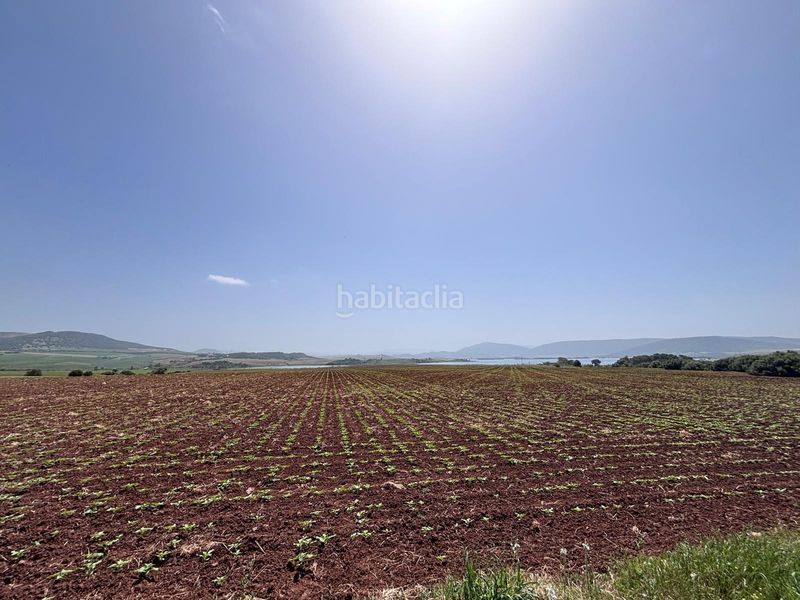 Foto 4fd5e0dd-3391-49fb-8049-4e5abc06e0ca. Finca rústica  en Arcos de la Frontera