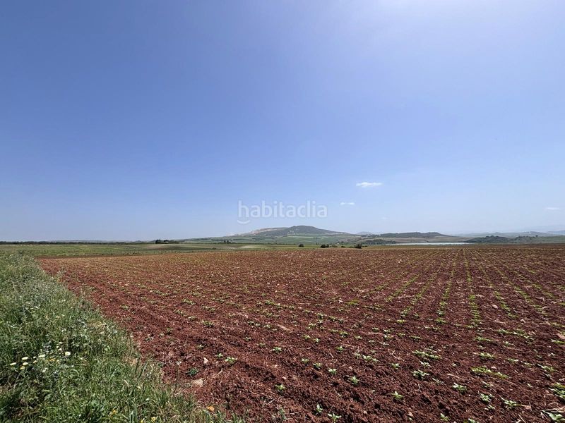 Foto 72189f08-ce84-4fd2-a2ad-eb5c9cedc650. Finca rústica  en Arcos de la Frontera