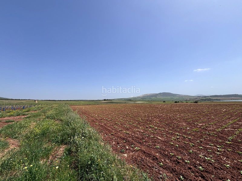 Foto b745d92f-e697-47bf-b1d6-6ed6d0395ee6. Finca rústica  en Arcos de la Frontera