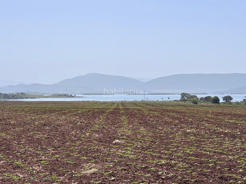 Foto dc5a87e9-c112-4b2a-9861-d6ecf66c7bd2. Finca rústica  en Arcos de la Frontera