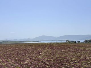 Landgut in Arcos de la Frontera. Finca rústica