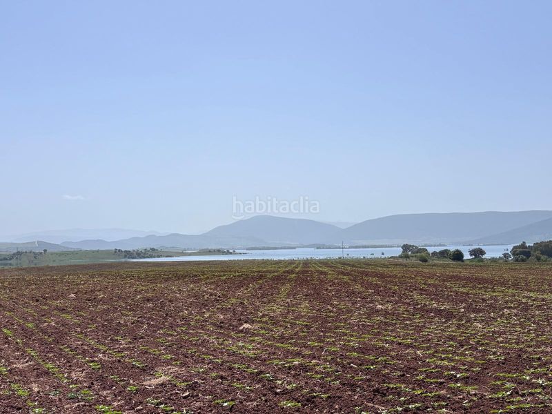 Foto e29d87e8-e766-472b-b14c-748ece80ba4f. Finca rústica  en Arcos de la Frontera