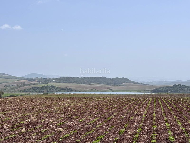 Foto ec15ab81-6577-4406-bafc-965a19b09d09. Finca rústica  en Arcos de la Frontera