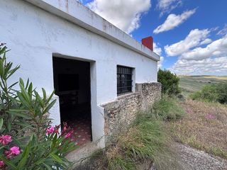 Propriété à Arcos de la Frontera. Finca de olivar