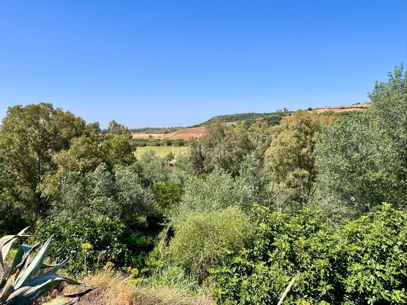 Foto 078a0213-05d8-4897-a6d8-33c9163bece1. Finca rústica a Arcos de la Frontera