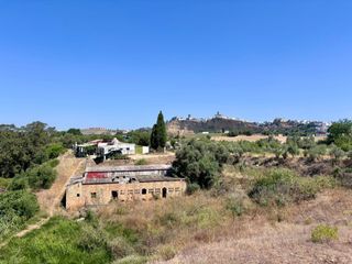 Landgut in Arcos de la Frontera. Finca de regadii