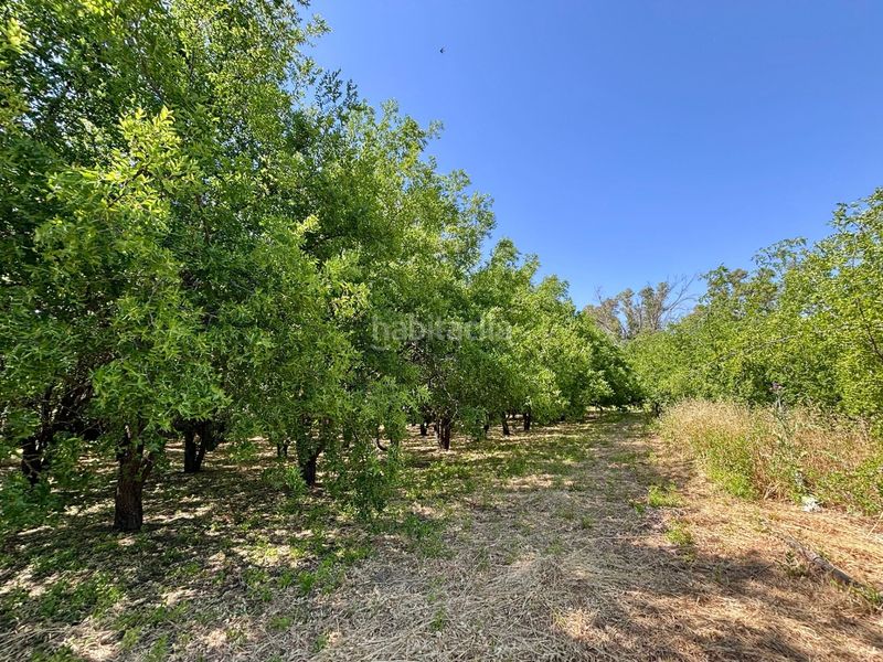 Foto 2a7b5b1c-4932-4a3d-b255-fa5950233c08. Finca rústica a Arcos de la Frontera