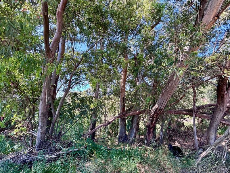 Foto 2c8f8984-b11f-47c0-abd5-a74e0d40d07a. Finca rústica a Arcos de la Frontera