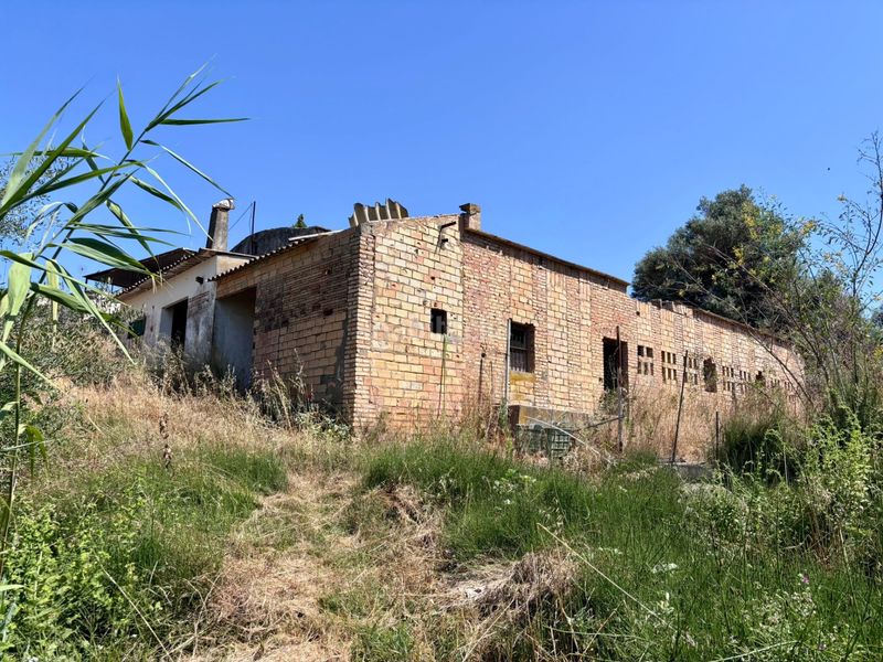 Foto b159593c-df33-4a04-962a-23619552169c. Finca rústica a Arcos de la Frontera