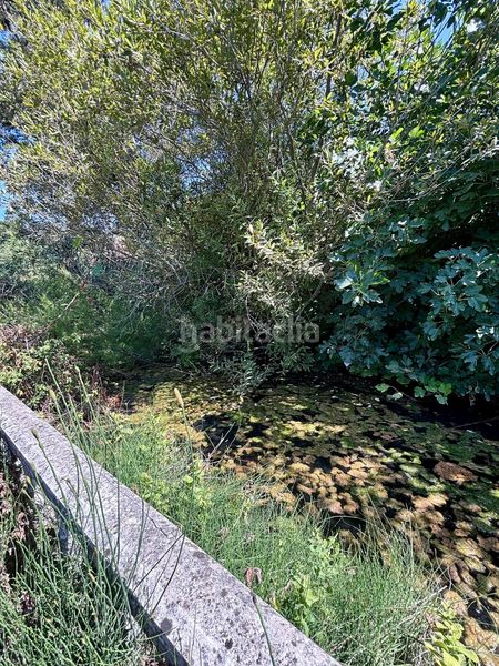 Foto c938089a-1277-4fa2-bfd4-0ab53eebded1. Finca rústica a Arcos de la Frontera