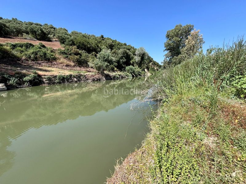 Foto cb4d8ee2-96ae-4dac-9f81-19ef7d10d1a1. Finca rústica a Arcos de la Frontera