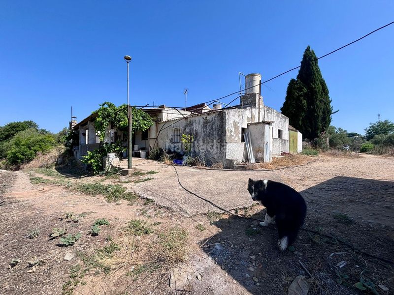 Foto f29043da-1247-440e-ab0f-3e283b11d5cf. Finca rústica a Arcos de la Frontera