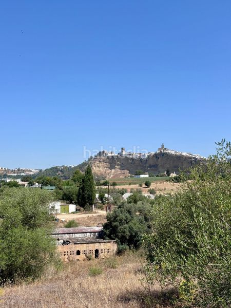 Foto fe950658-d235-4a27-8b7f-91754008bbfa. Finca rústica a Arcos de la Frontera
