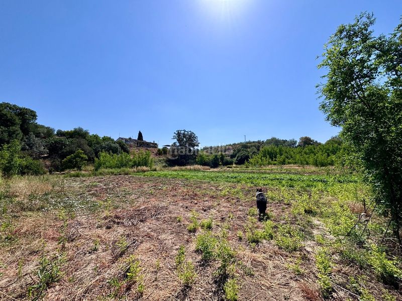 Foto ffe2c468-4404-4278-93f4-ee7171328d2e. Finca rústica a Arcos de la Frontera