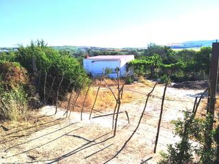 Finca rústica a Arcos de la Frontera. 2 has finca de regadío