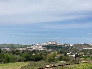 Finca rústica a Arcos de la Frontera. Parcela rústica
