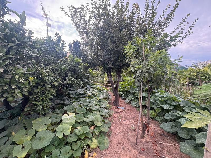 Foto 13dc17cd-83b9-42eb-95da-a66843f69e66. Casale in calle el pinar 831 in Las Tres Piedras - Costa Ballena Chipiona