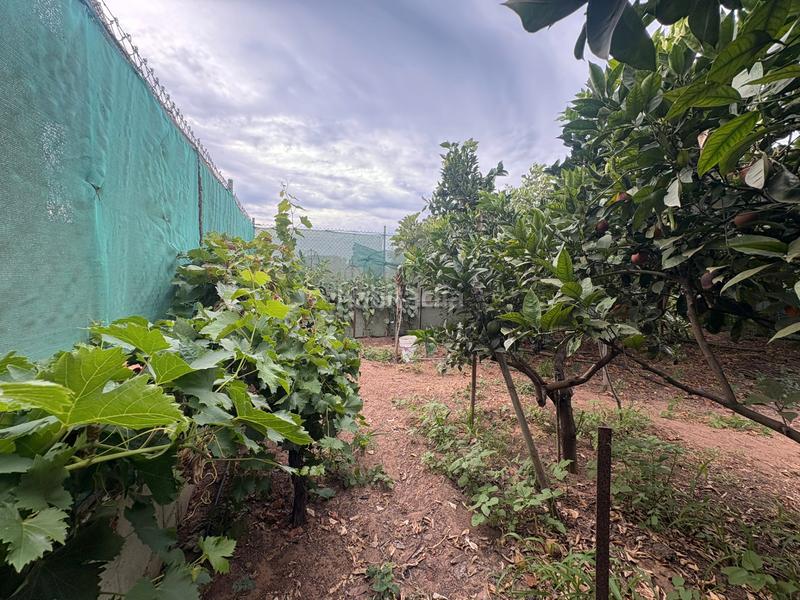 Foto 27894ade-a29f-478f-b294-758e29f6340b. Casale in calle el pinar 831 in Las Tres Piedras - Costa Ballena Chipiona