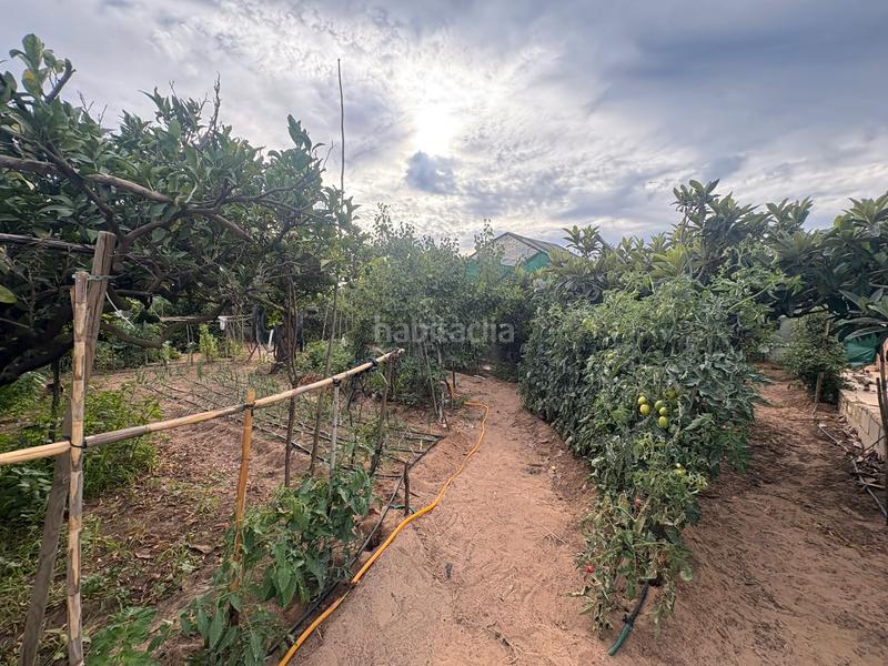 Foto 4b99e895-f1ef-46b9-9633-b9209bc69211. Casale in calle el pinar 831 in Las Tres Piedras - Costa Ballena Chipiona