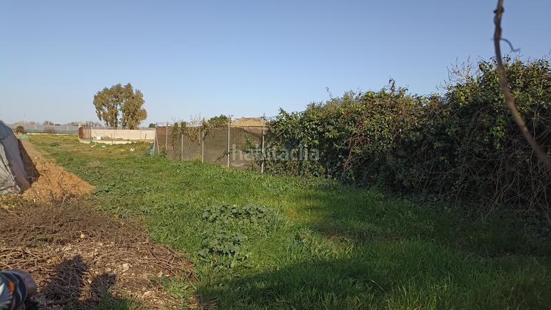 Foto b9a0dbdf-7094-403a-b96e-08e55fd50650. Finca rústica en calle salinera 35 en Centro Chipiona