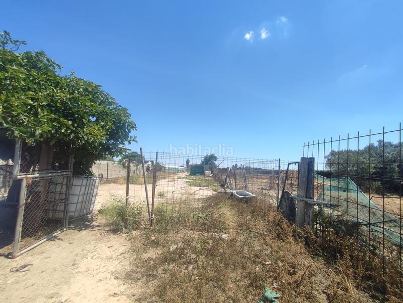 Foto 0b4323c0-b02e-4baf-b56e-d77990320e5a. Finca rústica terreno con nave en Chipiona norte Chipiona