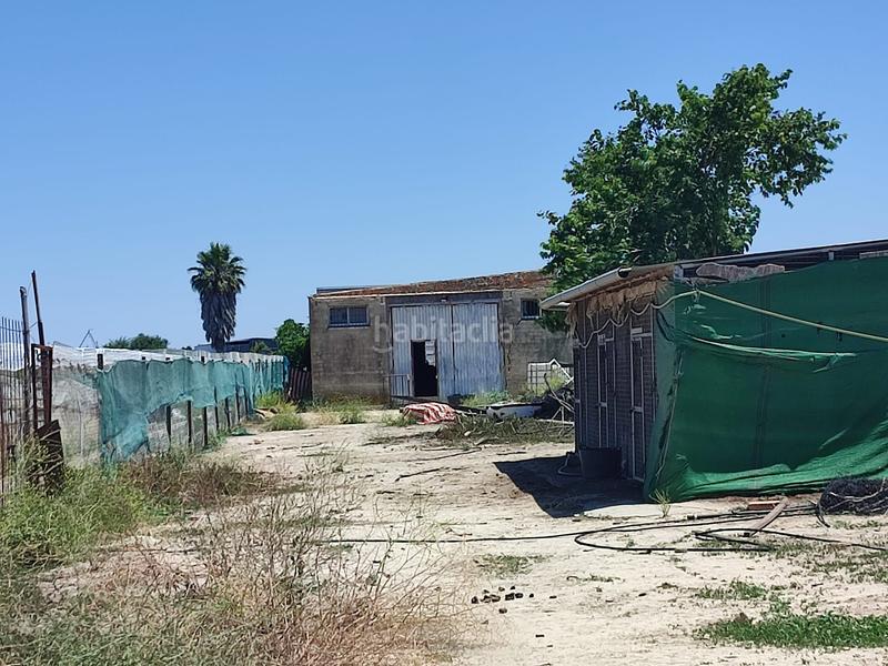 Foto 3a706ebf-af63-4b64-98e5-b48060df0238. Finca rústica terreno con nave en Chipiona norte Chipiona