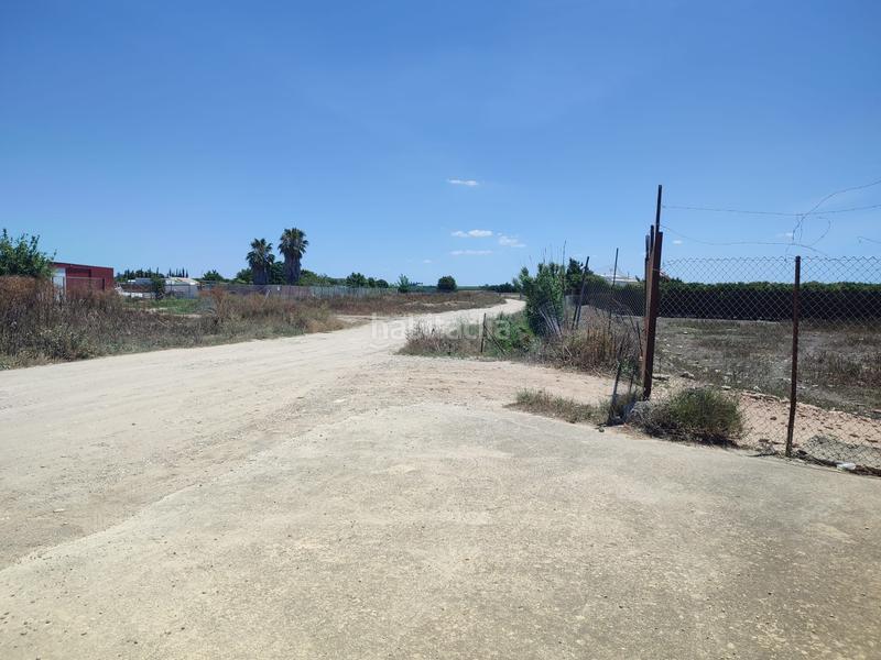 Foto 606c6602-5326-4325-ba69-6182c781ee67. Finca rústica terreno con nave en Chipiona norte Chipiona