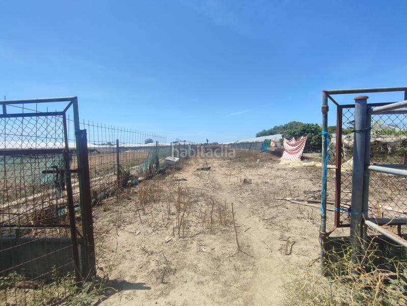 Foto 64f7f025-84ee-4227-8956-cd0ce4d643dd. Finca rústica terreno con nave en Chipiona norte Chipiona