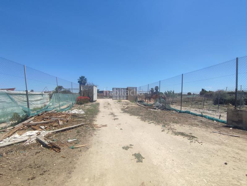 Foto 94dde521-2f58-4658-970e-5c44e6f2264f. Finca rústica terreno con nave en Chipiona norte Chipiona