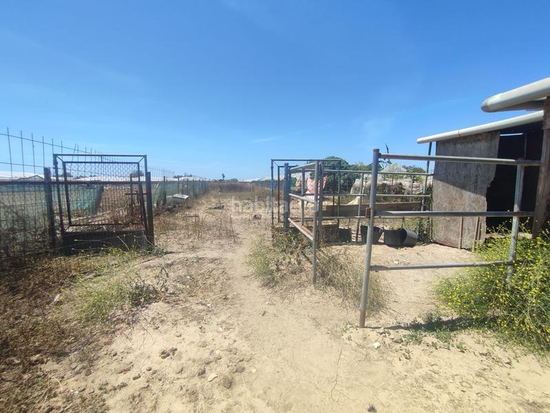 Foto f46f300f-9836-4ee0-aefe-23ce779e186f. Finca rústica terreno con nave en Chipiona norte Chipiona