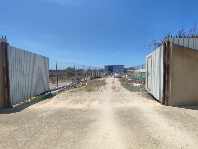 Foto f93aee4a-28a7-4f50-aaf5-16182a80fc22. Finca rústica terreno con nave en Chipiona norte Chipiona